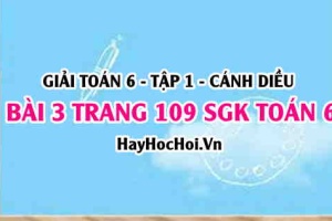 Giải bài 3 trang 109 Toán 6 Tập 1 SGK Cánh Diều